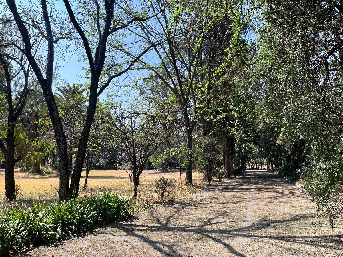 8 de 16