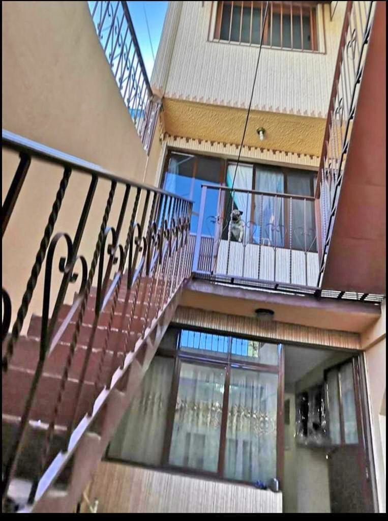 4 de 13