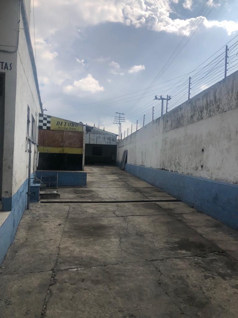 3 de 19