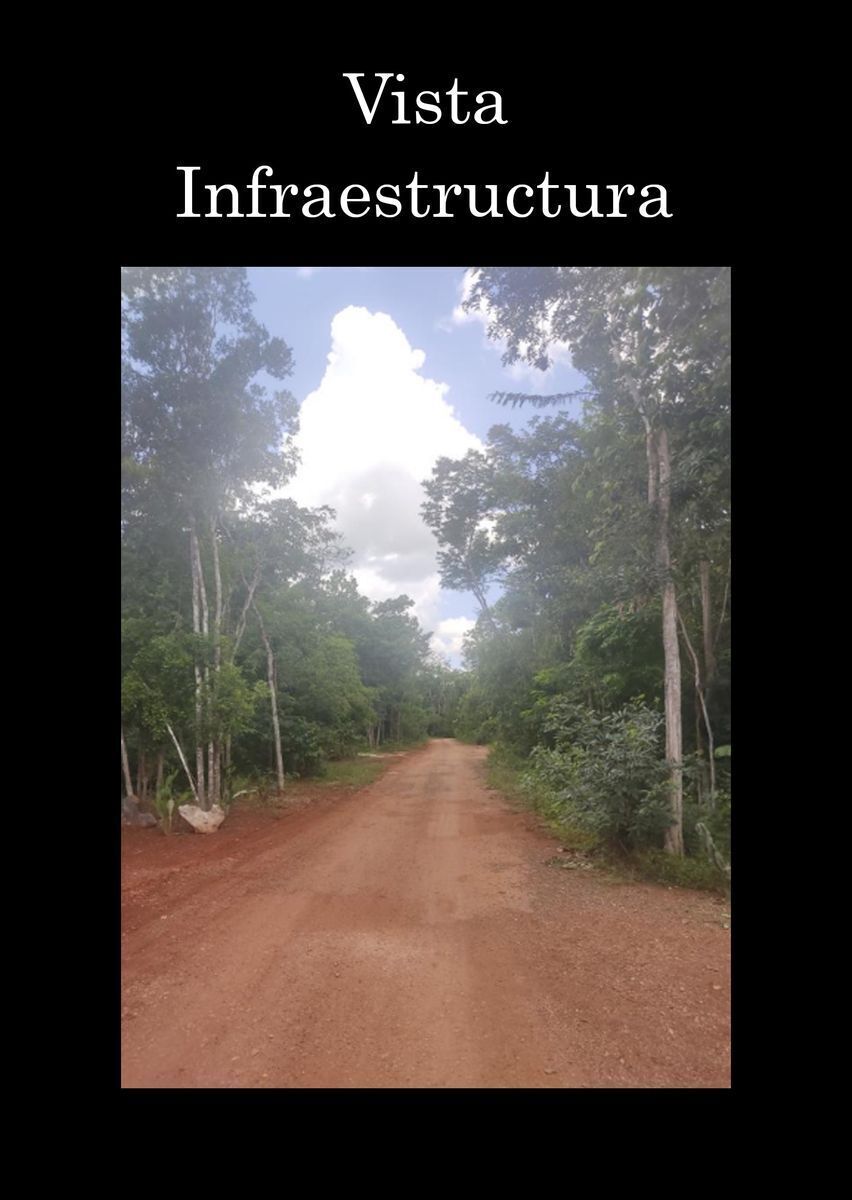 14 de 16
