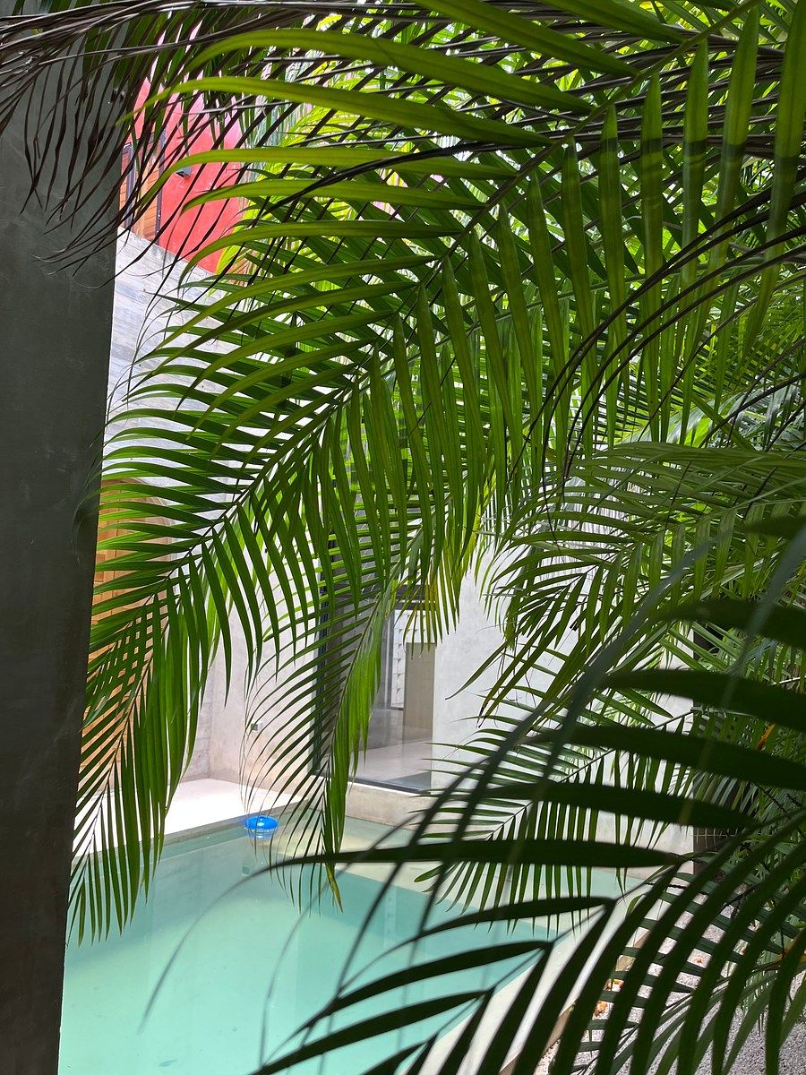 Casa en Yucatán Country Club, Mérida, foto 44 de 50