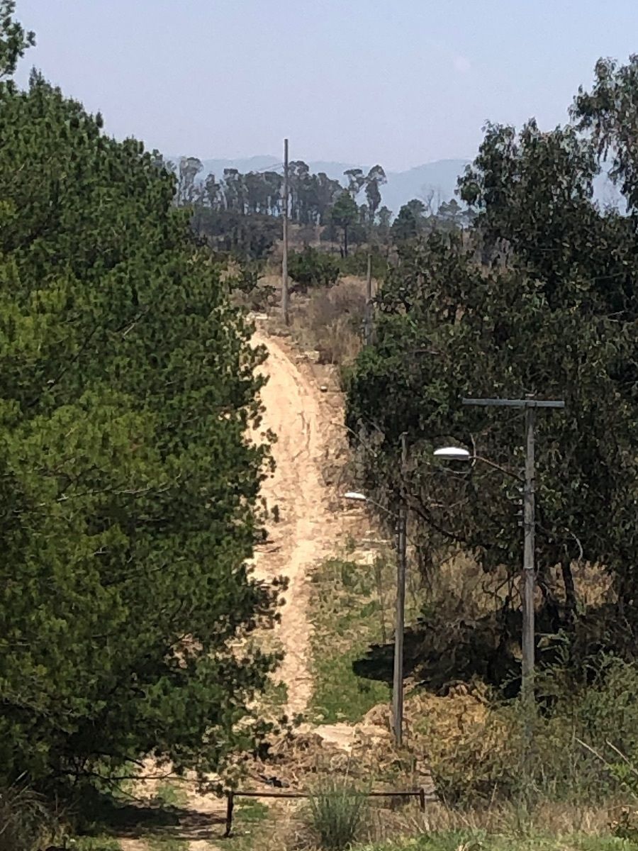 5 de 9: Sendero para llegar a pie.