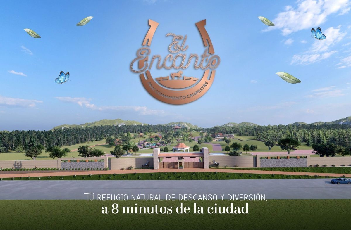 2 de 41