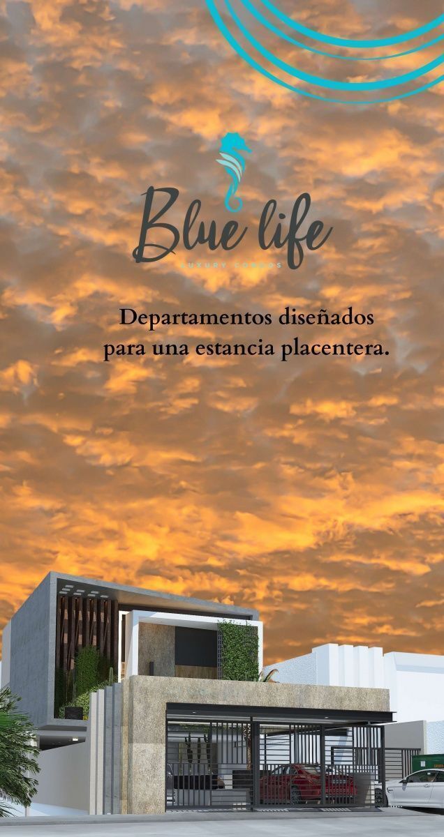 2 de 36