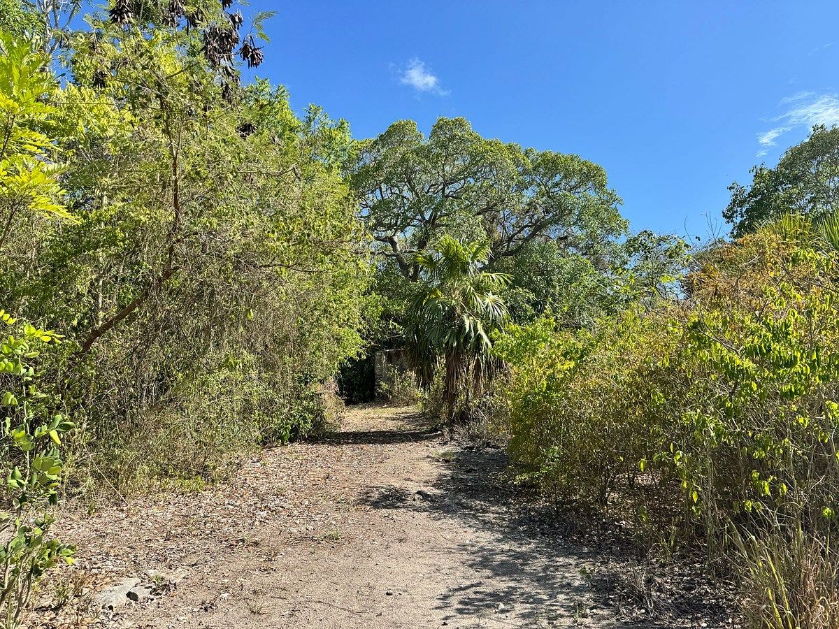 Lote em Alfredo V Bonfil, Benito Juárez, foto 4 de 18