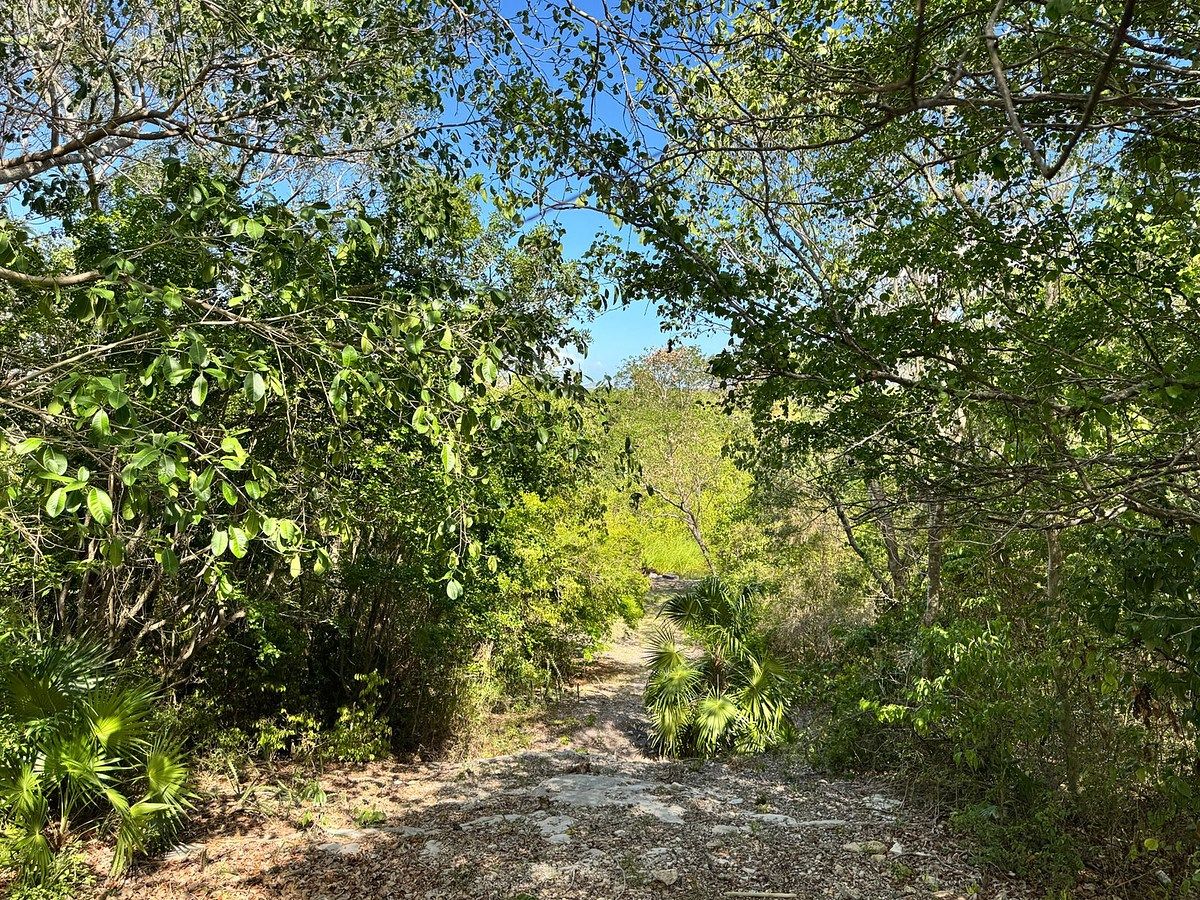 Lote em Alfredo V Bonfil, Benito Juárez, foto 5 de 18