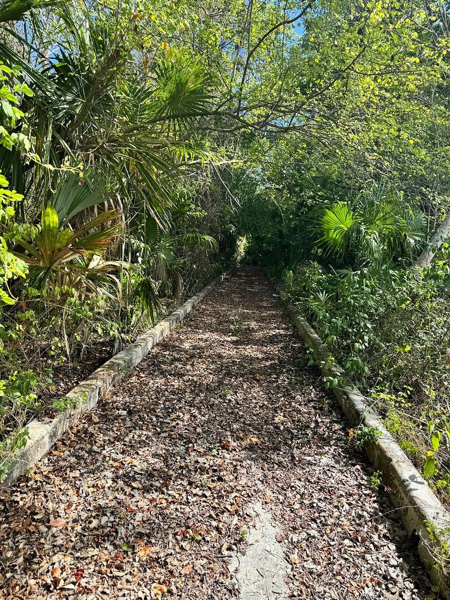 Lote em Alfredo V Bonfil, Benito Juárez, foto 6 de 18