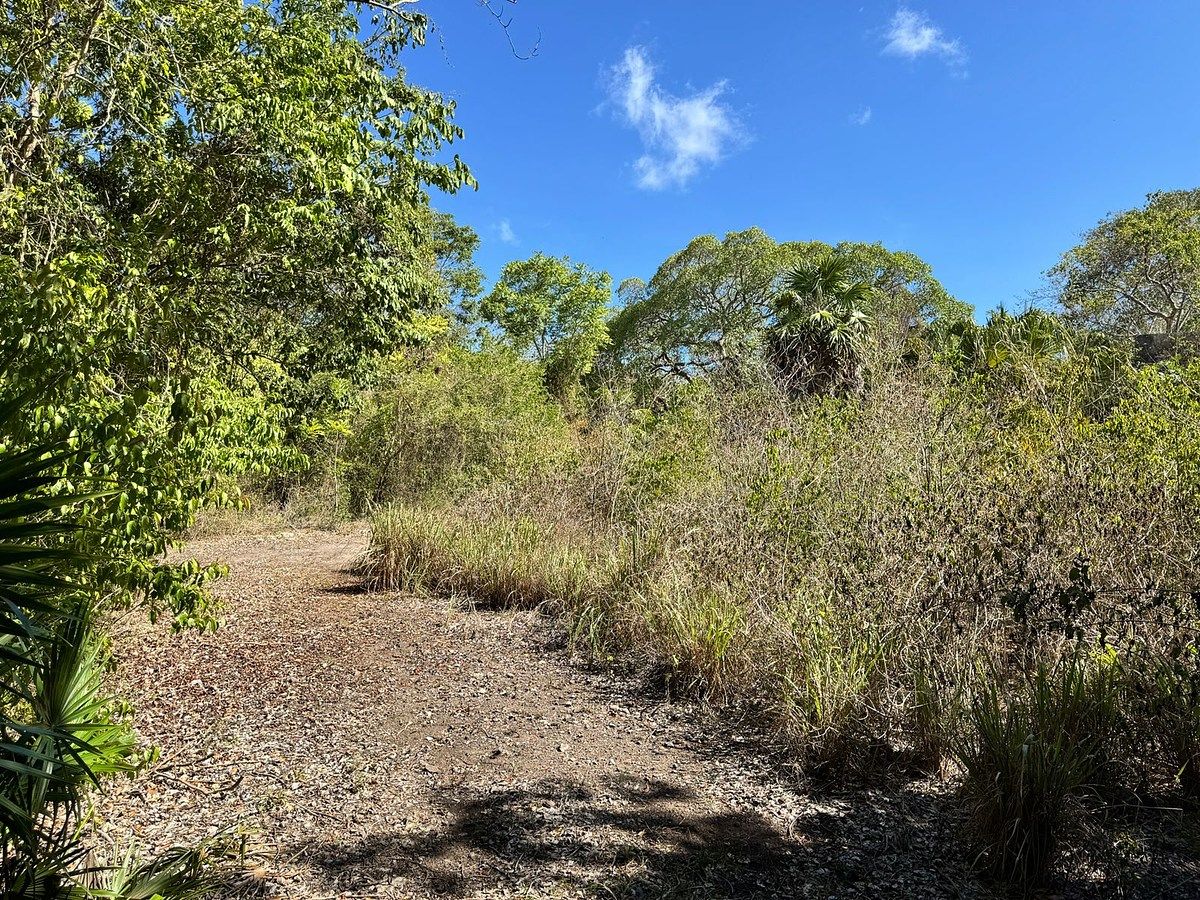 Lote em Alfredo V Bonfil, Benito Juárez, foto 7 de 18