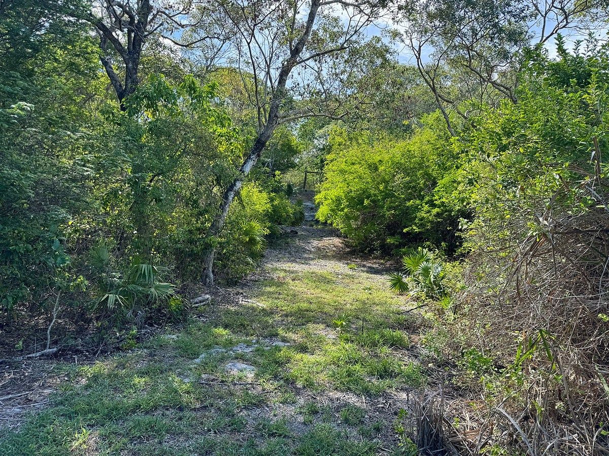 Terreno en Alfredo V Bonfil, Benito Juárez, foto 13 de 18