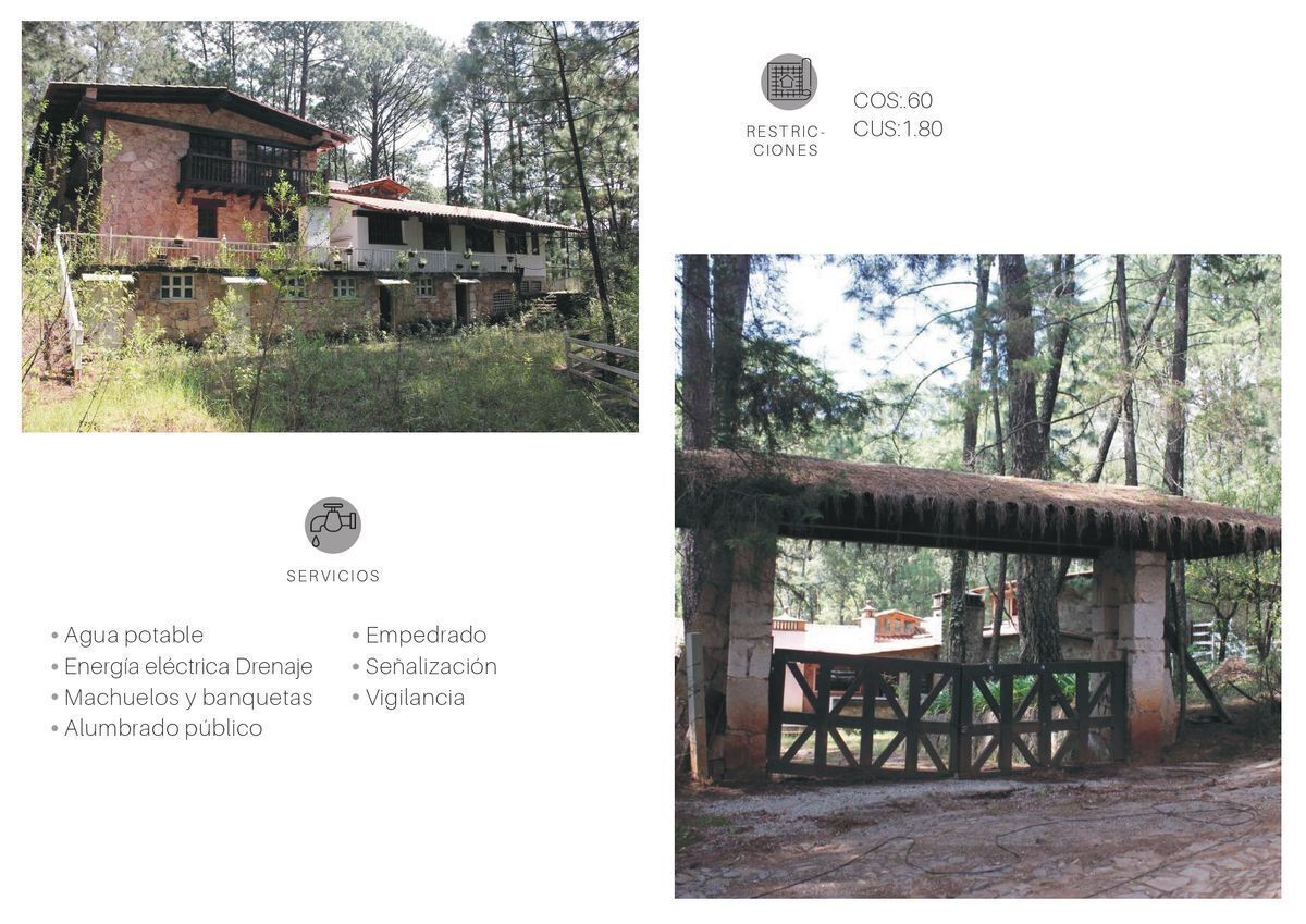 Propiedad en VENTA en los Cazos Mazamitla - foto 3