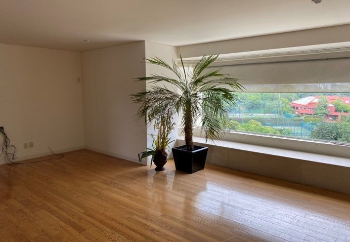 FRONDOSO II "remodelado" - foto 1