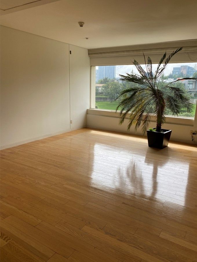 FRONDOSO II "remodelado" - foto 3