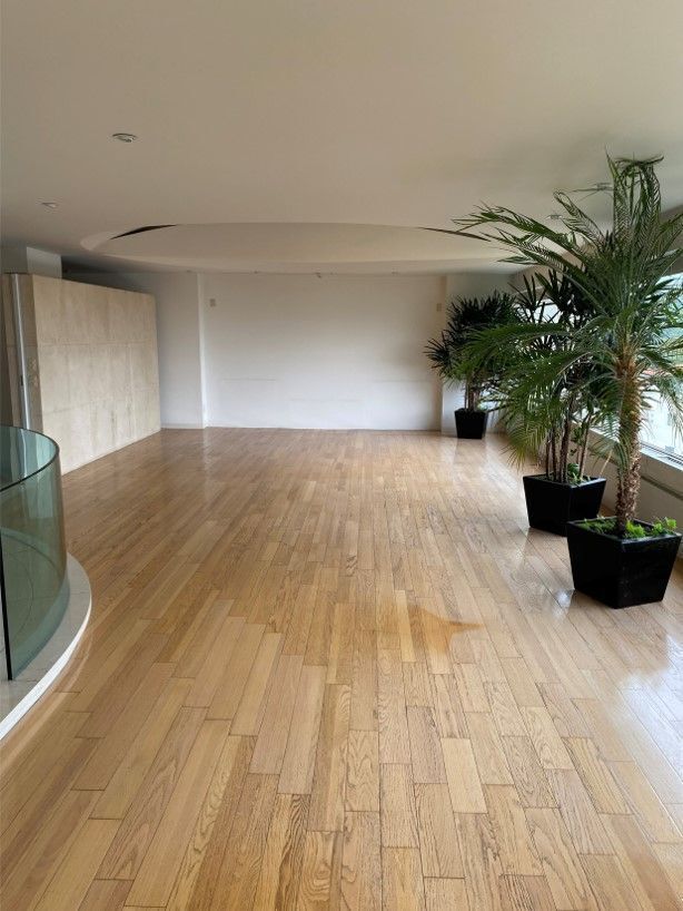 FRONDOSO II "remodelado" - foto 4