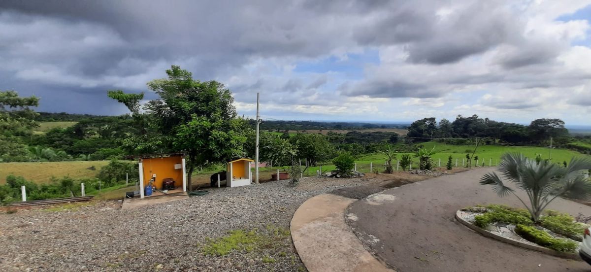 17 de 17