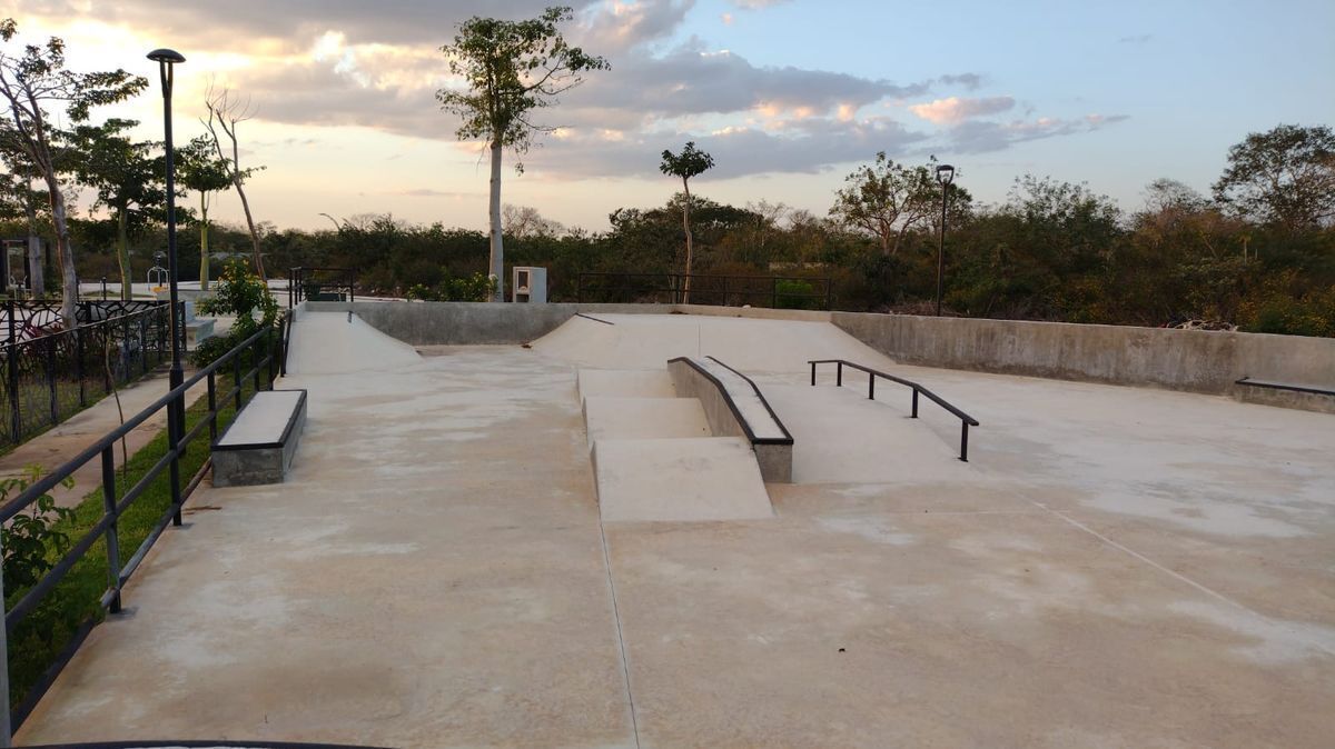 13 de 50