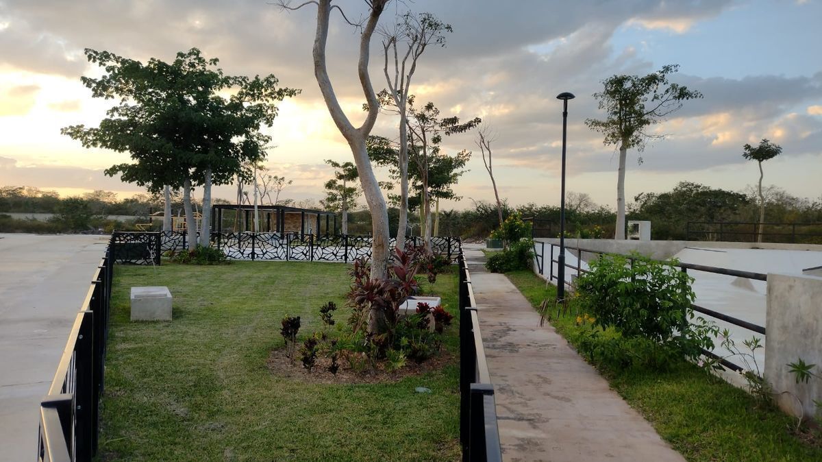 16 de 50