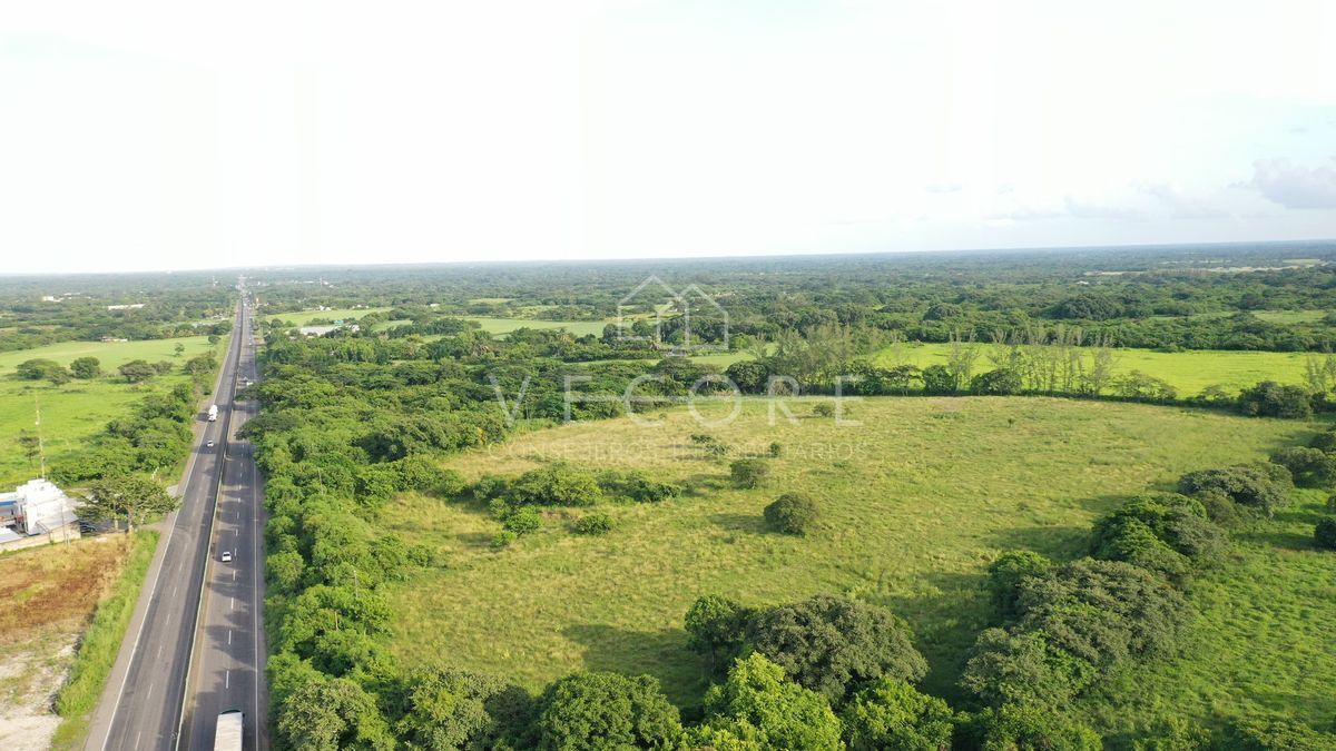 Imagen 3 de 4