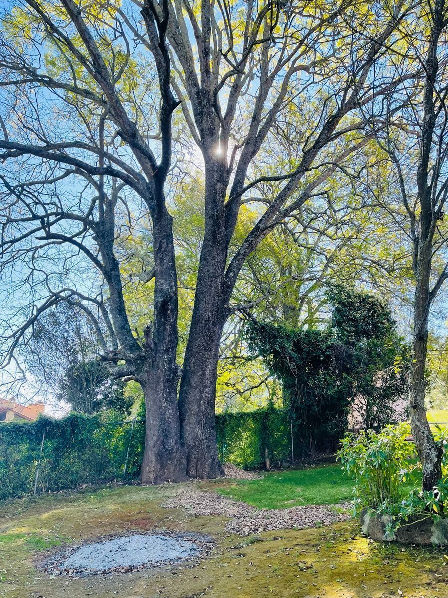 36 de 36