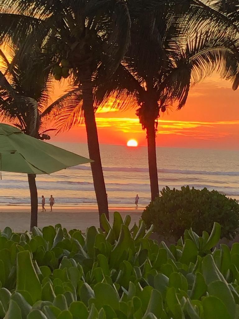 15 of 21: VISTA DESDE TERRAZA EN PB