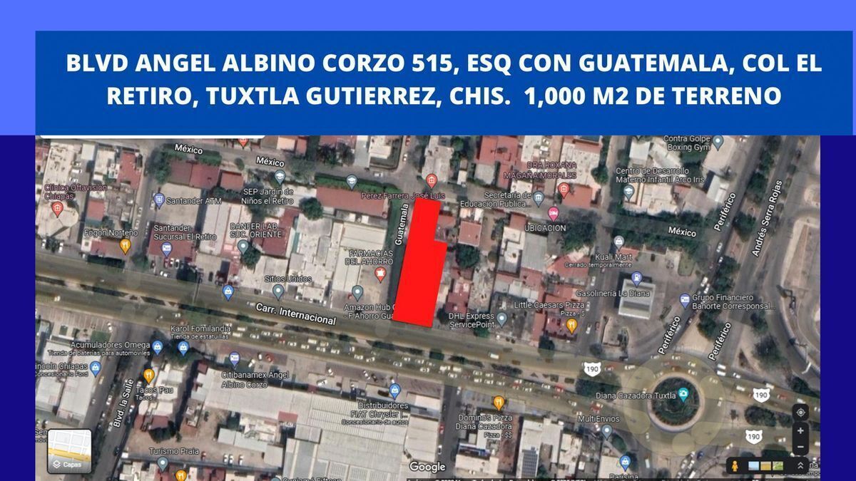 Imagen 8 de 10