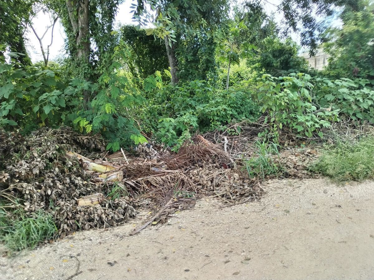 Terreno en Cholul, foto 1 de 5