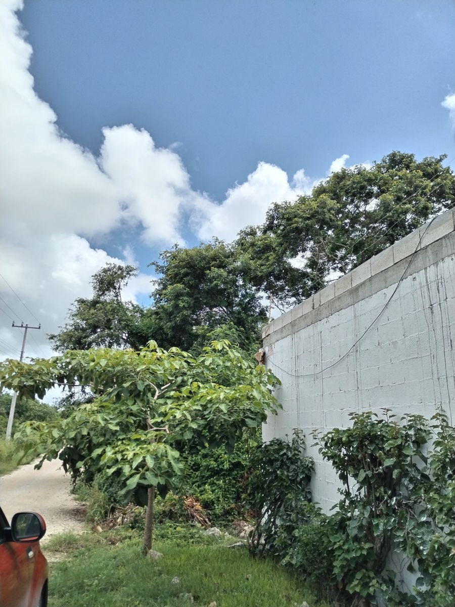 Terreno en Cholul, Mérida, foto 2 de 5