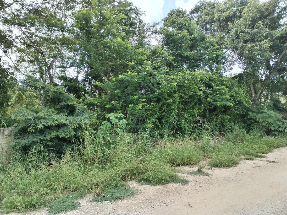Terreno en Cholul, Mérida, foto 3 de 5