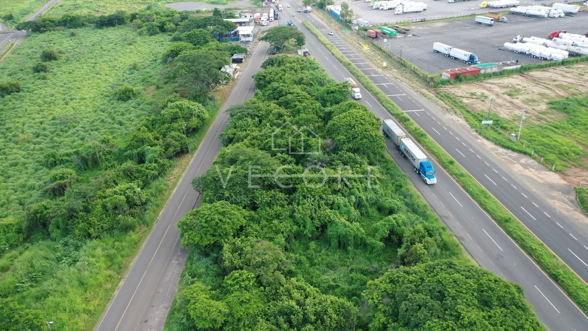 Imagen 4 de 5