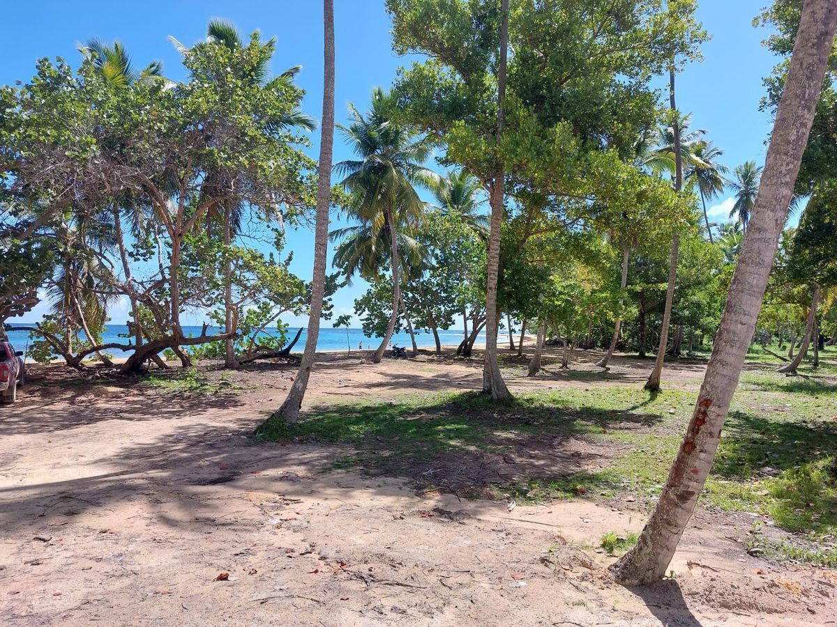 ARMONIA PORTILLO Apartamentos en Las Terrenas (ENG) EasyBroker