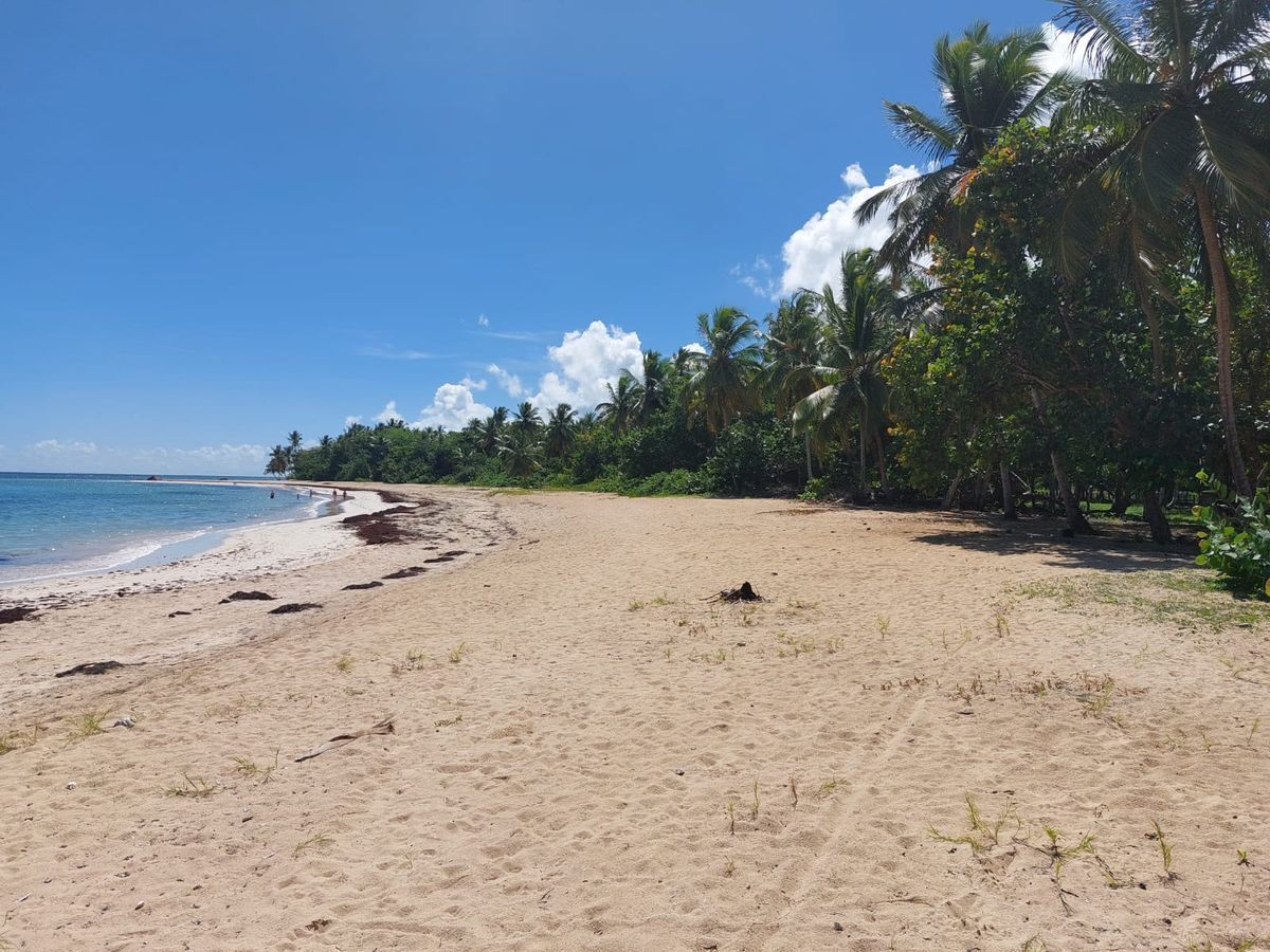 ARMONIA PORTILLO Apartamentos en Las Terrenas (ENG) EasyBroker