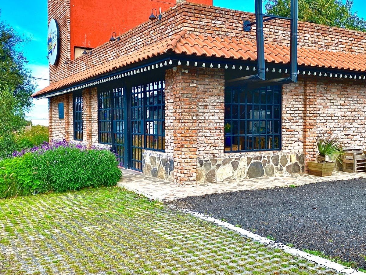 6 de 10