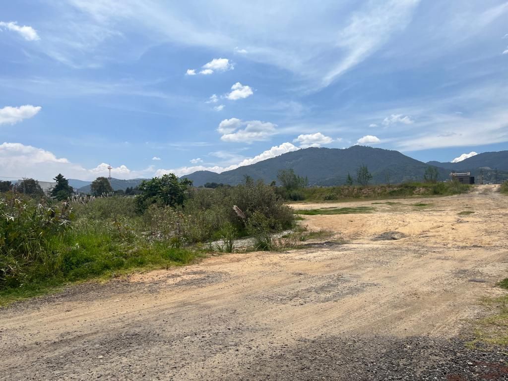 SE VENDE LOTE A UN COSTADO DE LOS GO KARTS DE BOSQUE REAL - foto 4
