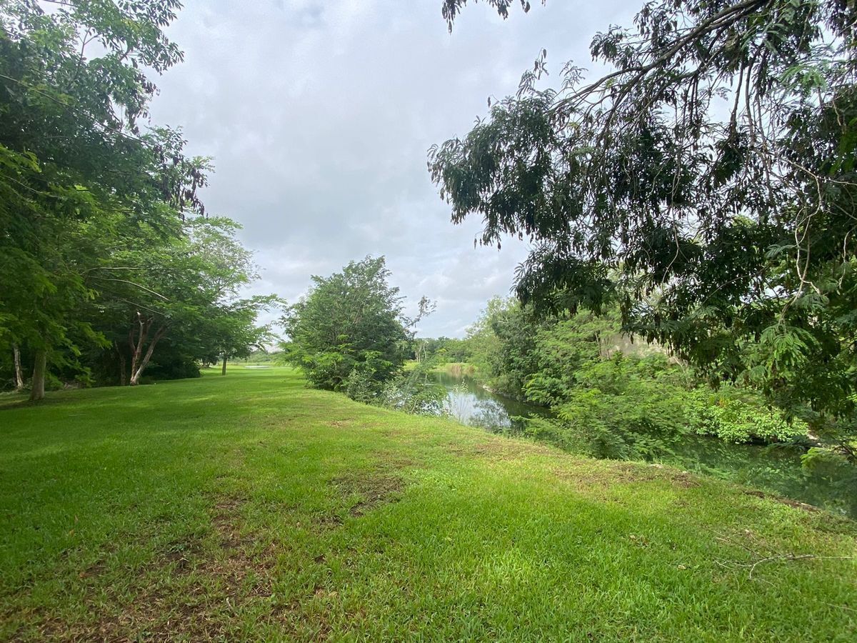 15 de 20: Espacio de 10 metros entre el lote y el lago