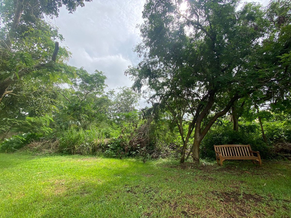 17 de 20: Vista desde el lago