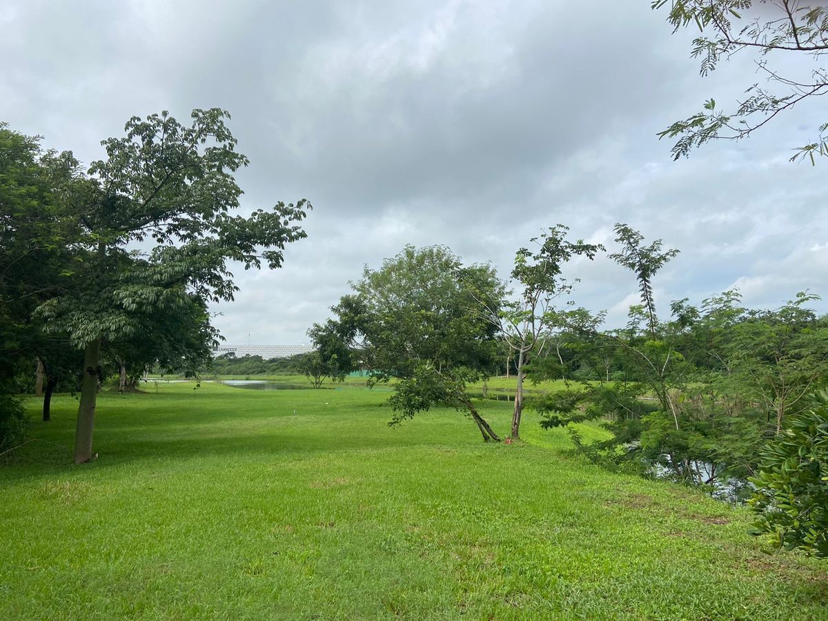 18 de 20: Andador verde a todo lo largo del canal