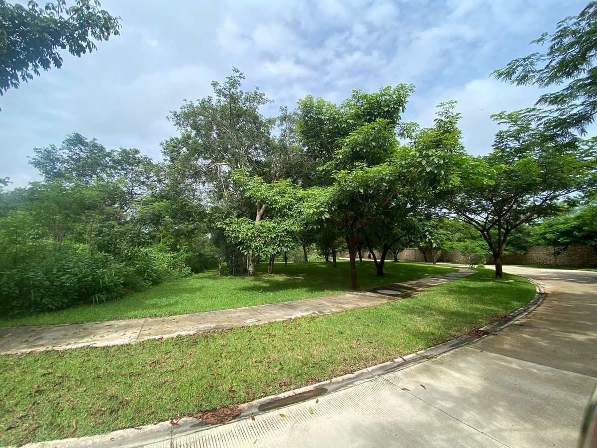 20 de 20: Area verde de donación colindante al norte