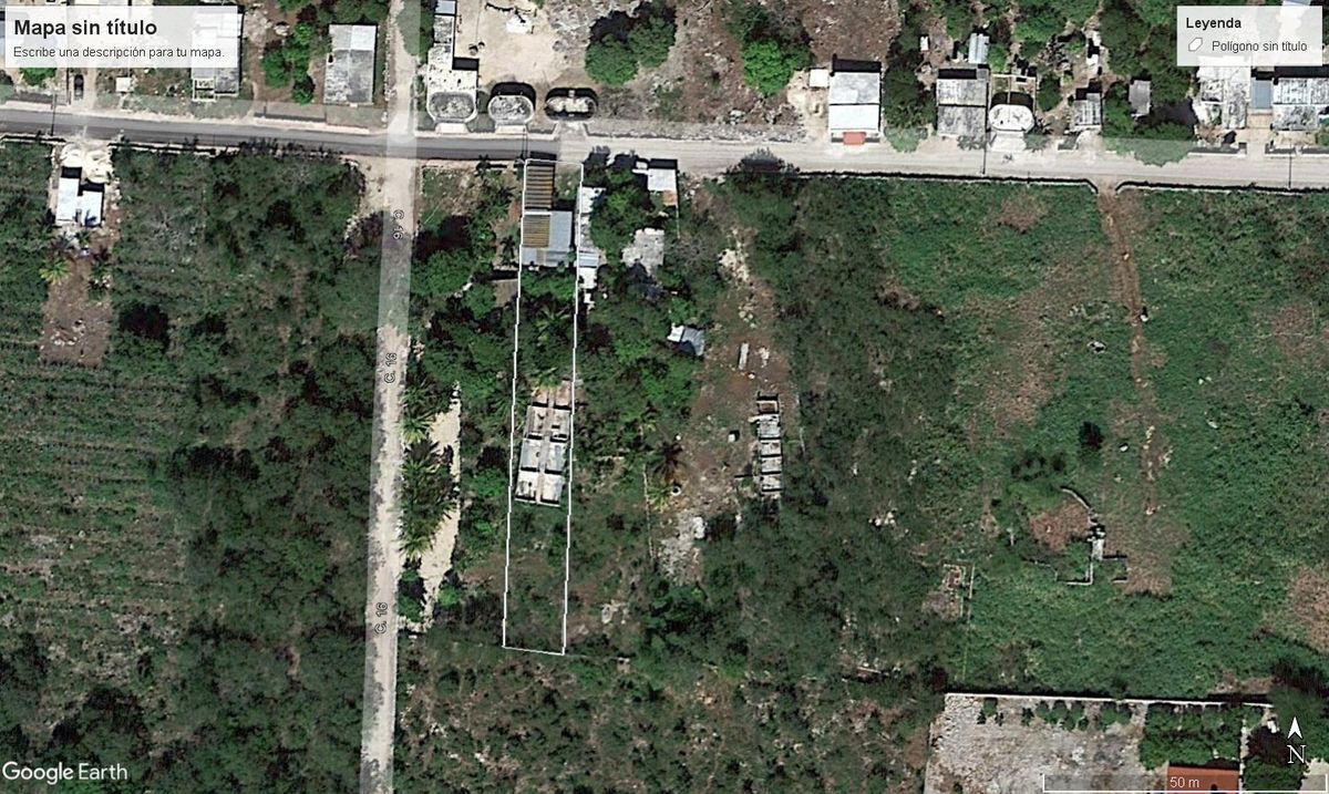 2 de 2: Vista en plants