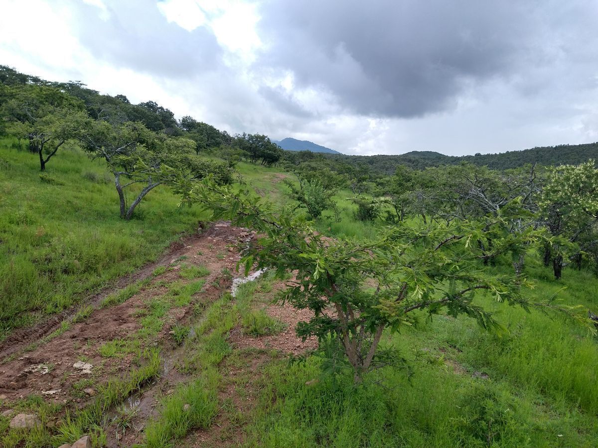 4 de 28