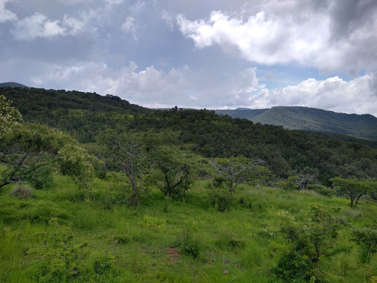 5 de 28