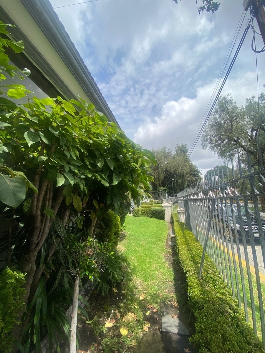 6 de 51
