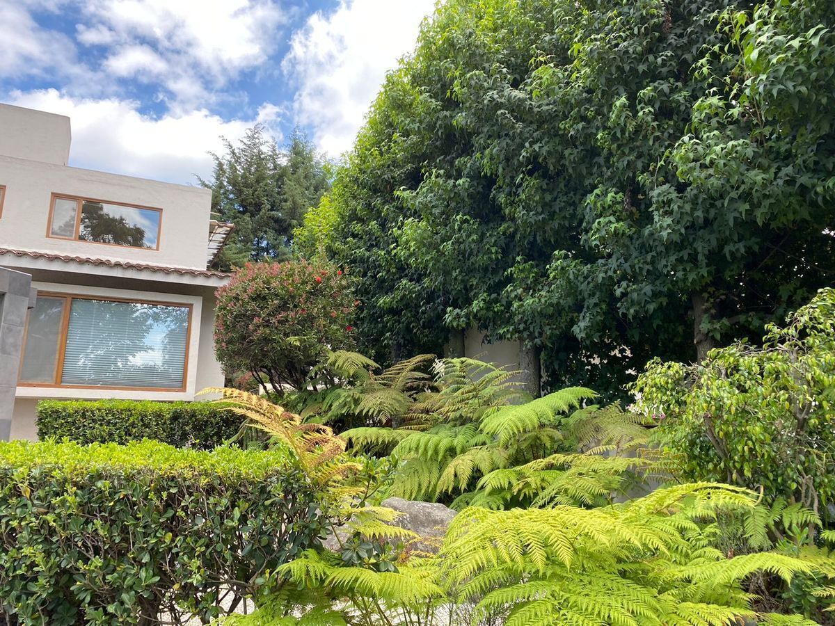 3 de 27: Jardín frontal