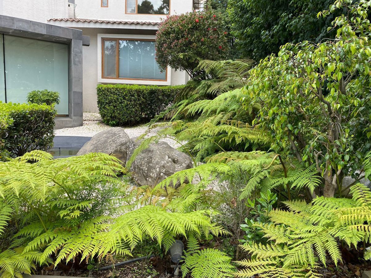 5 de 27: Jardín frontal