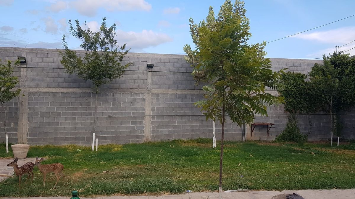 3 de 23