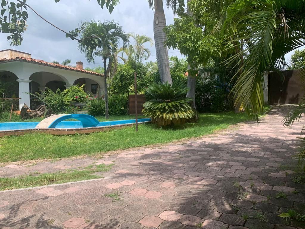 8 de 24