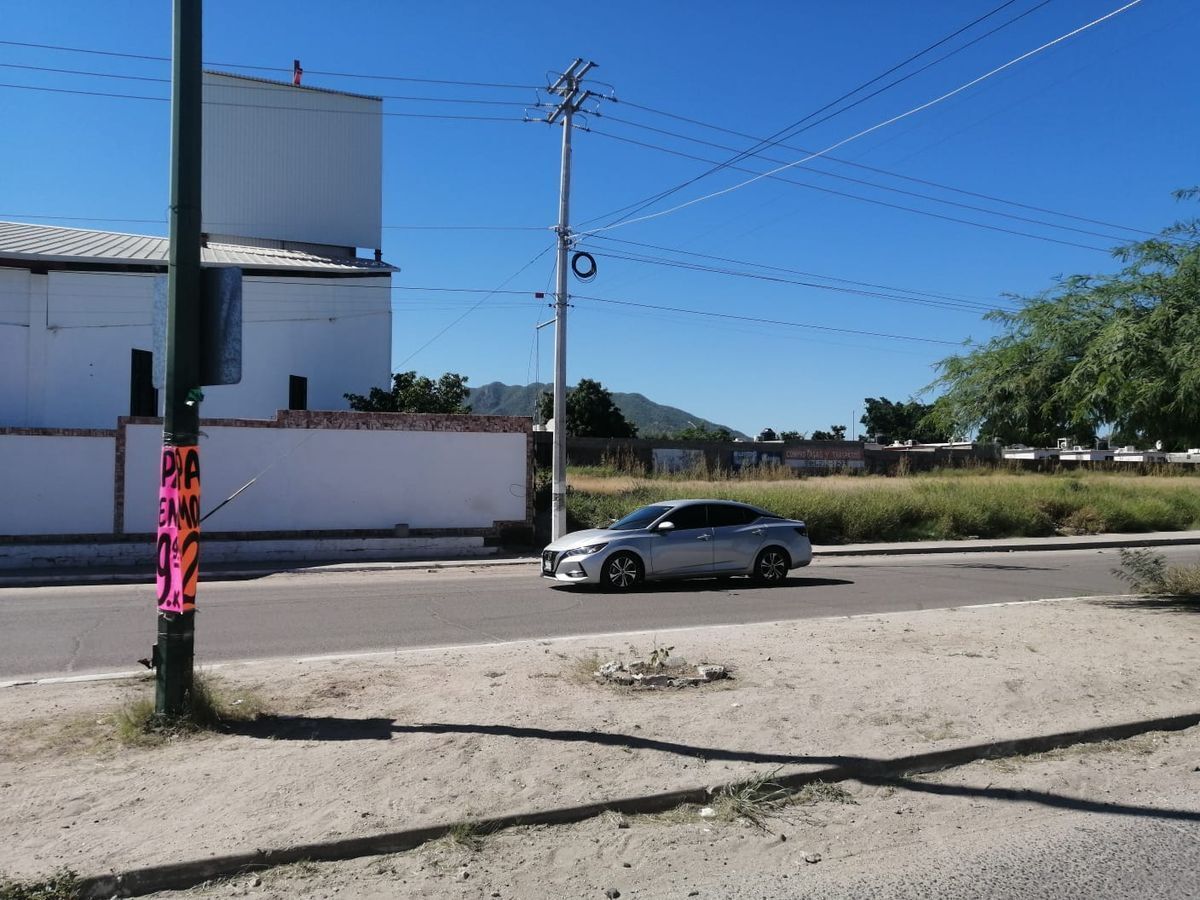 14 de 16