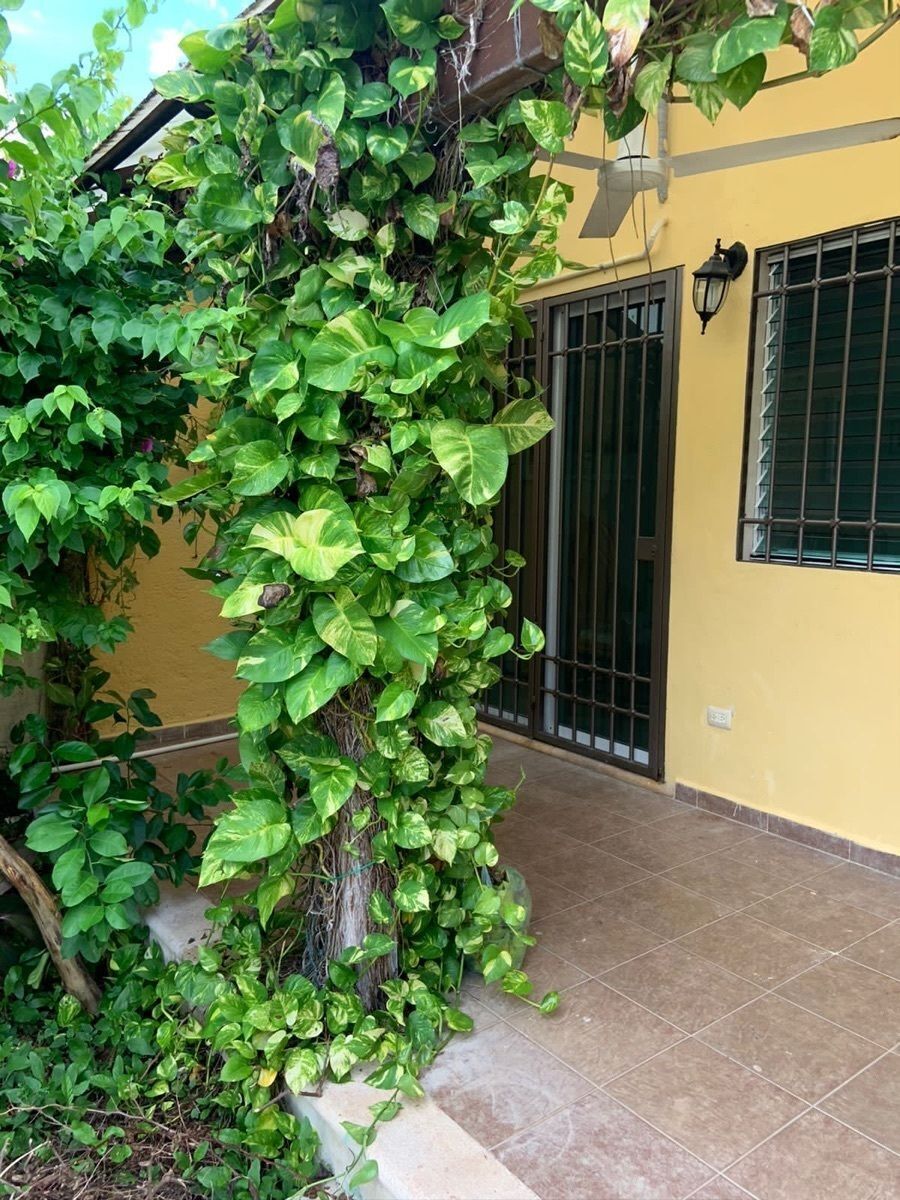 Casa em Miguel Alemán, Mérida, foto 7 de 14