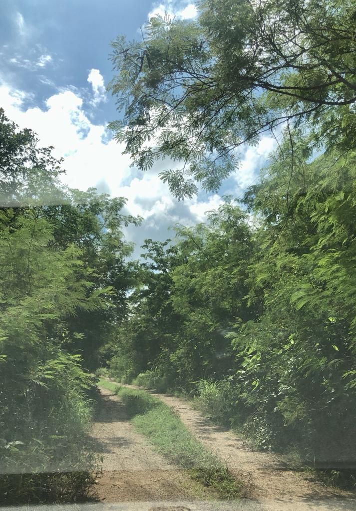 3 de 9