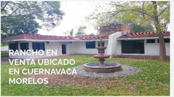 1 de 6