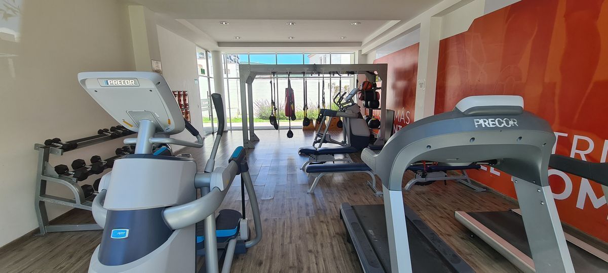 17 de 24: Gimnasio 