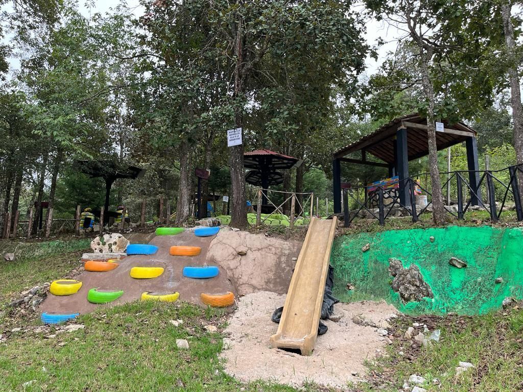 5 de 24